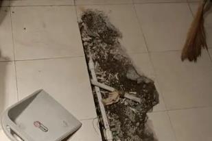 泉州市卫生间漏水检测电话